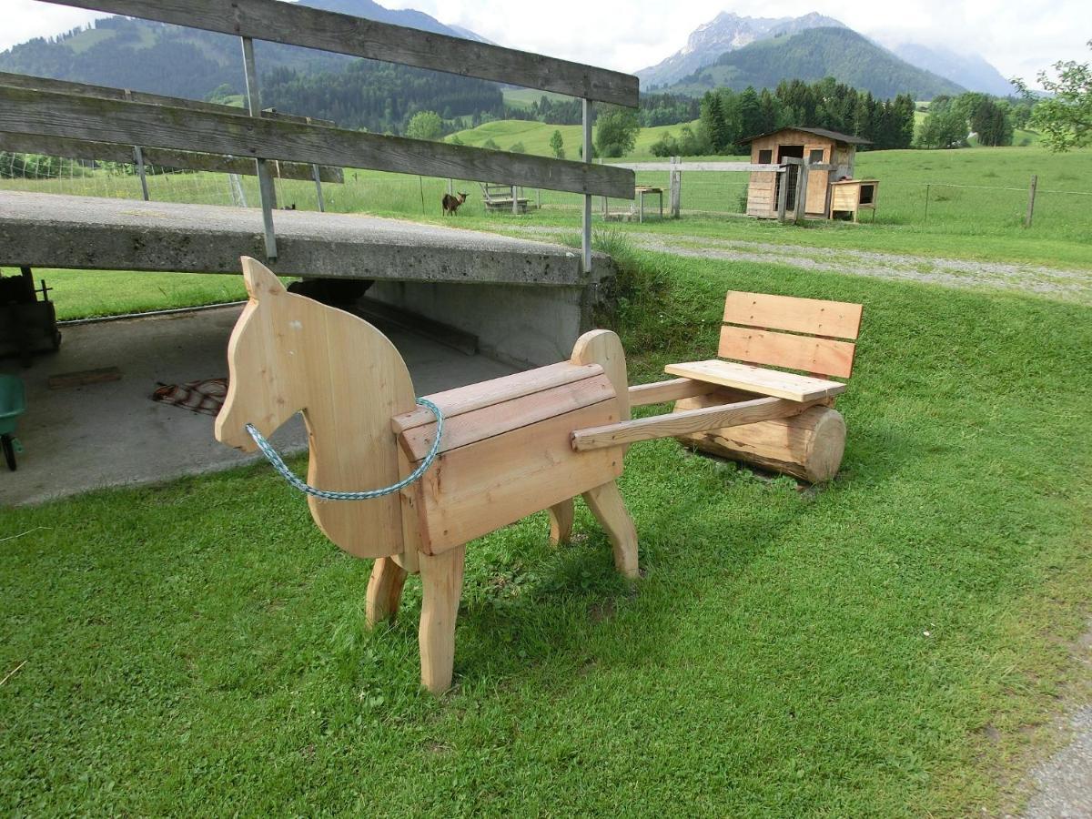 Bio-Bauernhof Bachangerhof Kössen Eksteriør bilde
