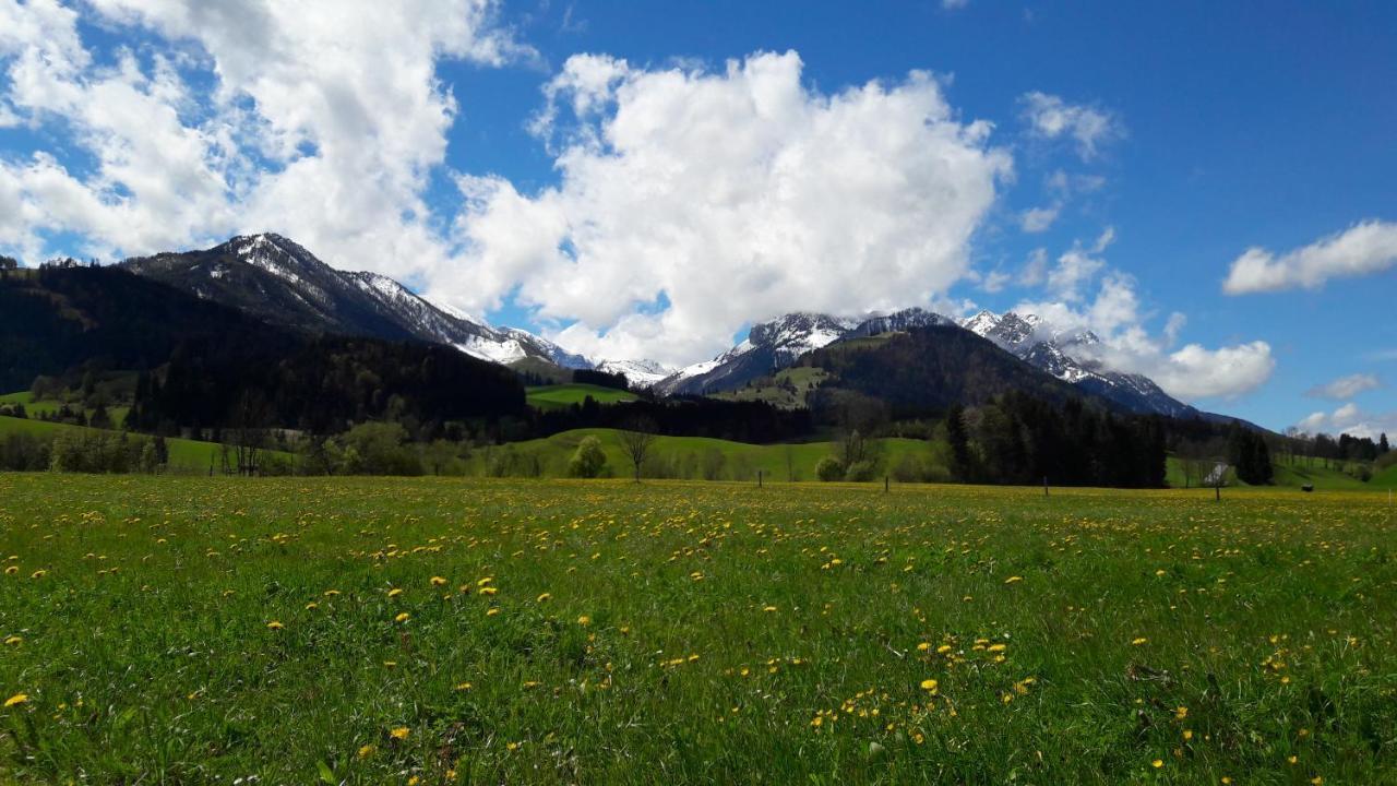 Bio-Bauernhof Bachangerhof Kössen Eksteriør bilde