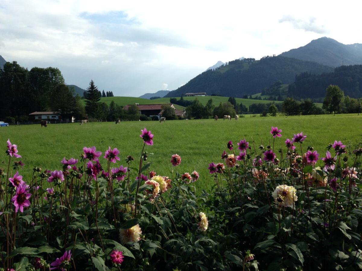 Bio-Bauernhof Bachangerhof Kössen Eksteriør bilde